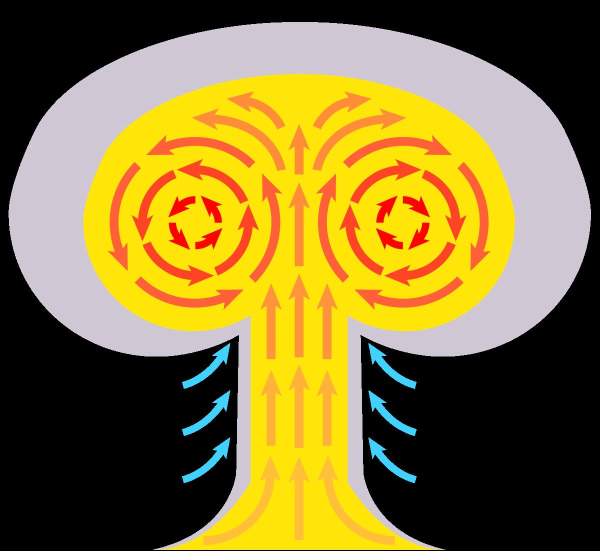 jadrovy hrib