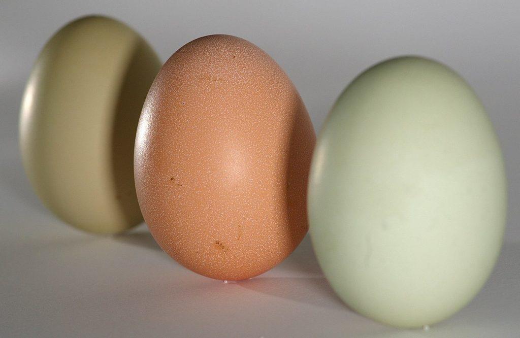 Viete, ako rozpoznať čerstvé vajíčka? Týmto jednoduchým testom to doma zistíte raz-dva